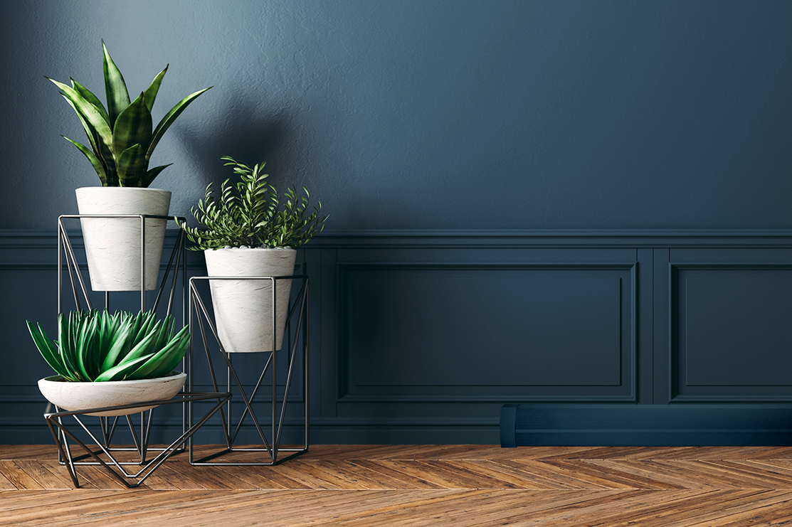 More Answers to Your Burning Questions about Baseboarders®