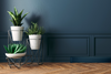 More Answers to Your Burning Questions about Baseboarders®